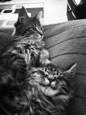 Vic & Bob