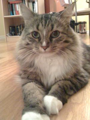 Zoe