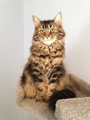 Zoe