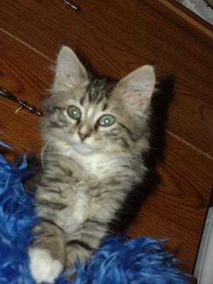 Zoe